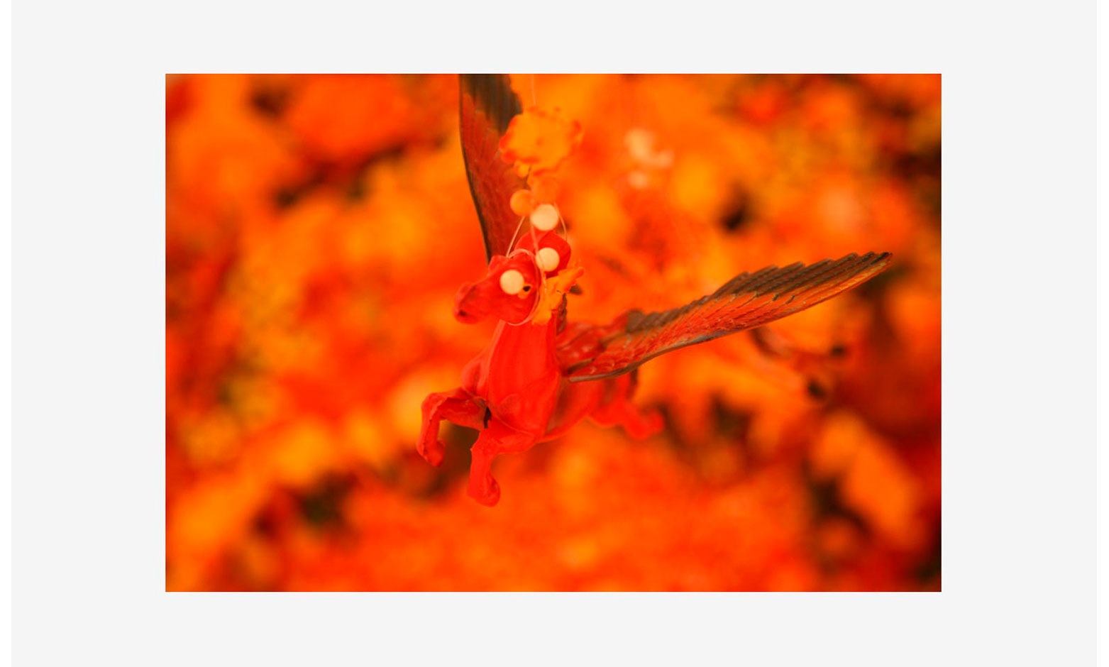 4+7=11-NARANJA-02